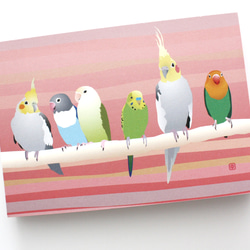 メモ帳 「 Pet Birds -pink- 」 4枚目の画像