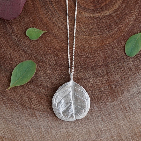 Feijoa leaf necklace (round) [P074SV] 1枚目の画像