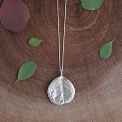 Feijoa leaf necklace (round) [P074SV] 2枚目の画像