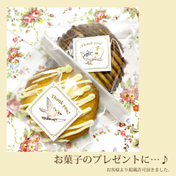 謝謝印章“Applepie” [35 張貼] 蘋果派和茶壺 第5張的照片