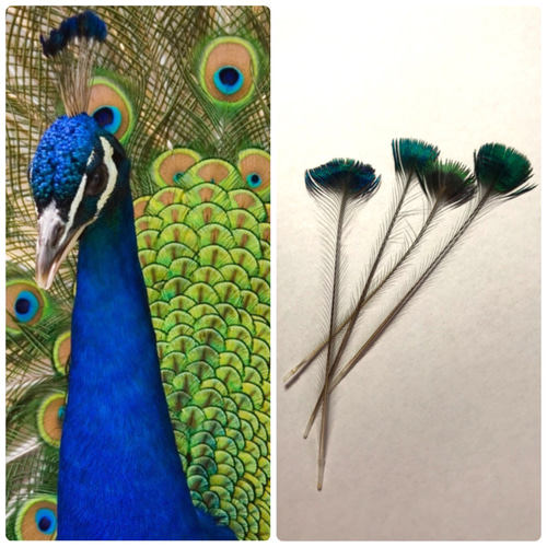 大蛇 白蛇 切らずに一匹 伊勢神宮の杉 天然石 純金 鳳凰 一億円札 一千  