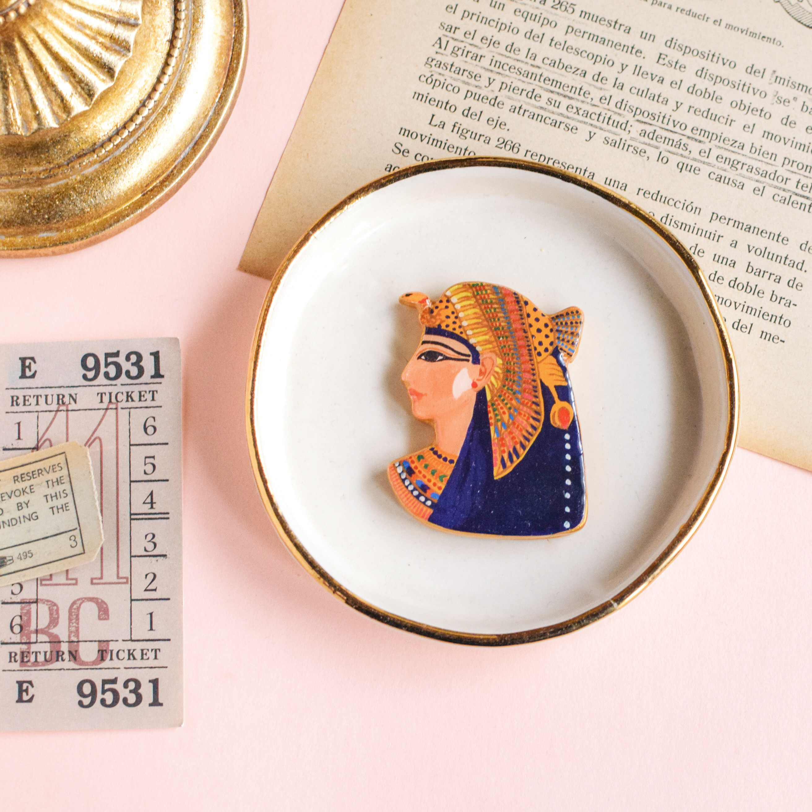 コレクション株 フォッケア ムルチフローラ発根定着済※抜き苗3千円OFF