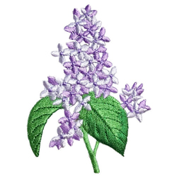 アップリケワッペン ライラック ステム W-1151 リラ ムラサキハシドイ 紫丁香花 フラワー 1枚目の画像