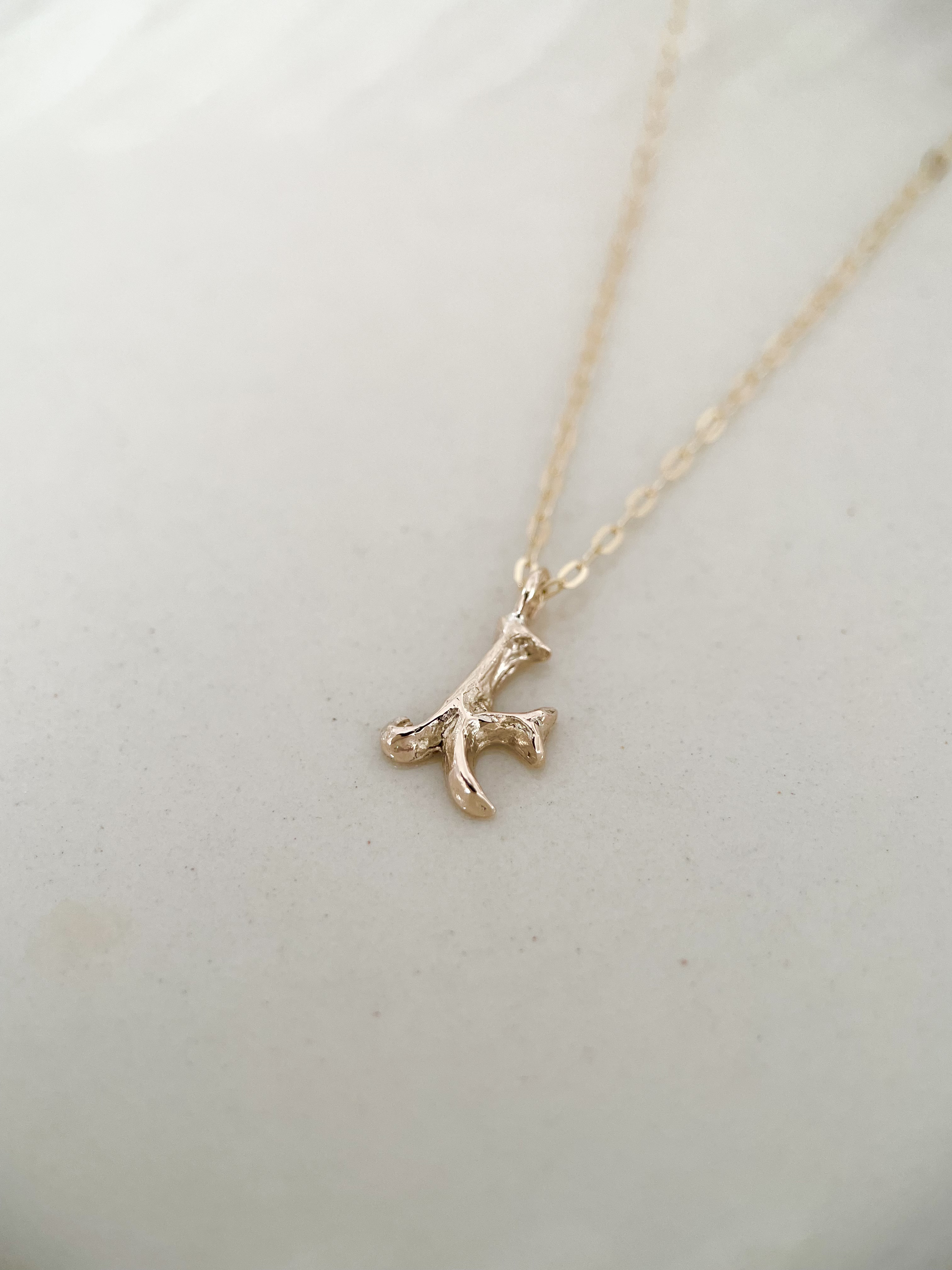 ロイヤルイニシャルネックレス【k】