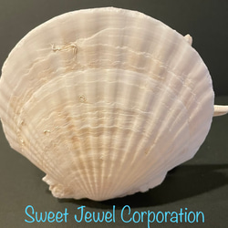 貝殼容器（SweetJewel 原創設計） 第3張的照片