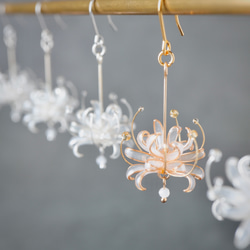 曼殊沙華 －Gold－ 1枚目の画像