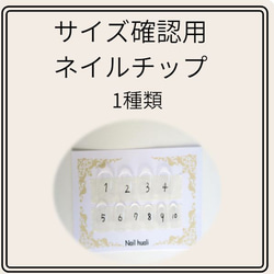 サイズ確認用ネイルチップ 2種類 ネイルチップ（つけ爪） nail huali