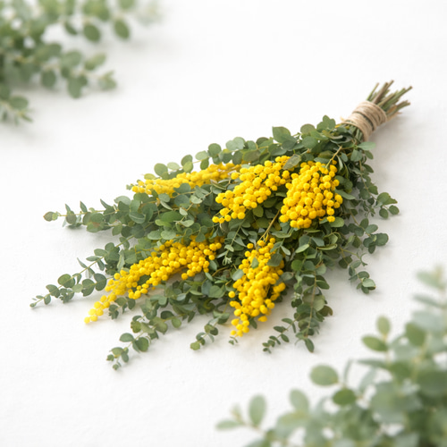 特集掲載 春めく ミモザとユーカリのナチュラルスワッグ（スタンダード