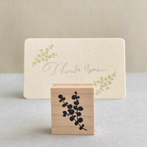 感謝大家超過1000次的收藏❤️ 圓葉尤加利 [橡皮圖章] 第3張的照片