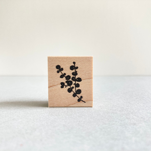 感謝大家超過1000次的收藏❤️ 圓葉尤加利 [橡皮圖章] 第1張的照片