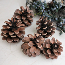 ジャンボ松ぼっくり 7個 その他素材 Karani 通販 15143002｜Creema