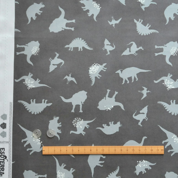 生地 Dinomania Subtle  -ART GALLERY FABRICS -EST-76503 5枚目の画像