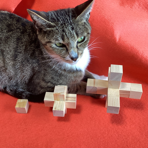 素数と魔方陣 フラクタル&トポロジー ビッグバン宇宙の菅数論で次世代