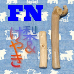 FN.けやき梨の木新品.犬用おもちゃ、超小型犬向け歯固めかじり木 1枚目の画像