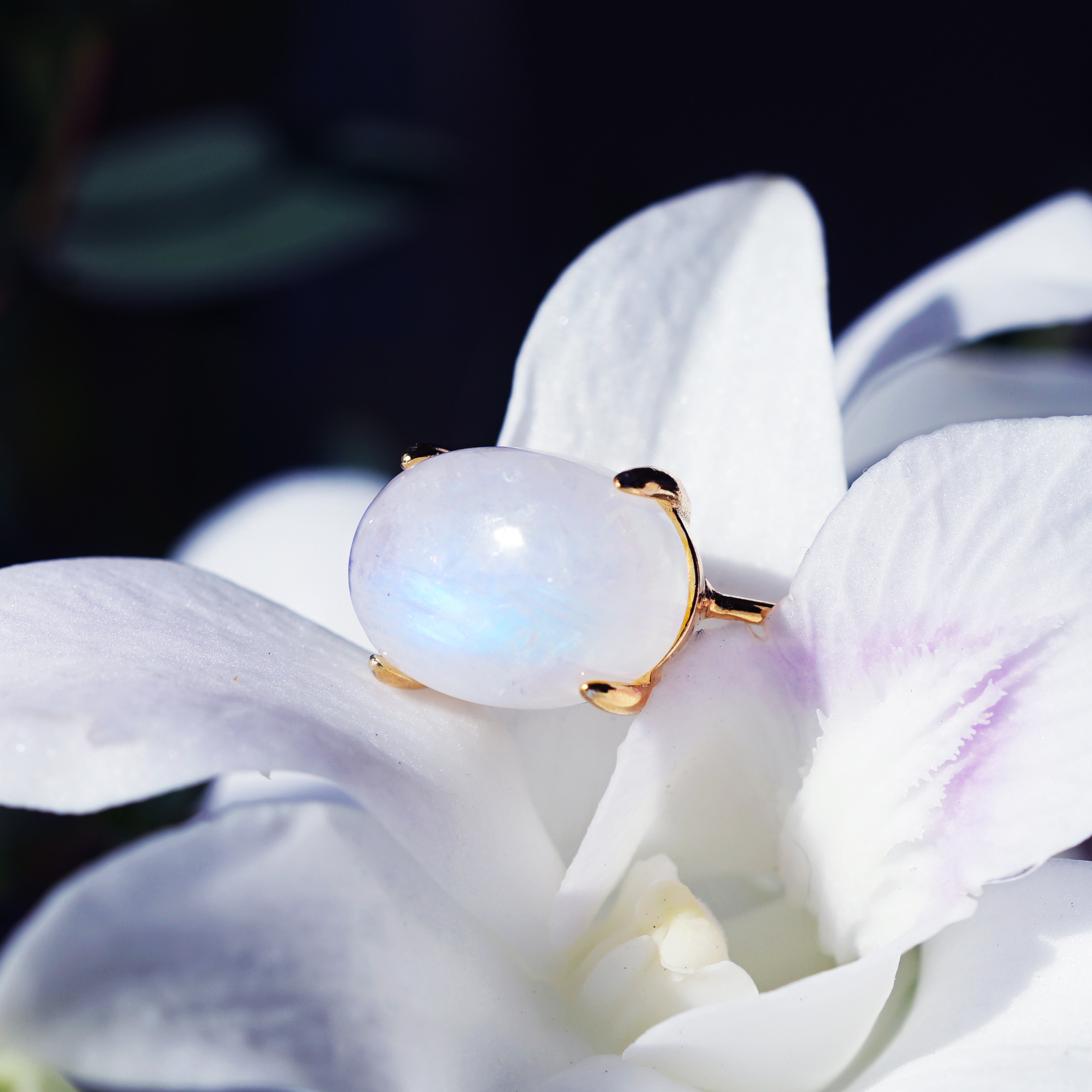 大粒レインボームーンストーンの14mmのカボション爪留めリング　～月の詩（うた）