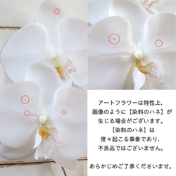 *misuzu*胡蝶蘭5個(ホワイト2種)　上質でまるで本物のような美しさ　成人式・七五三・和婚ブライダル 6枚目の画像