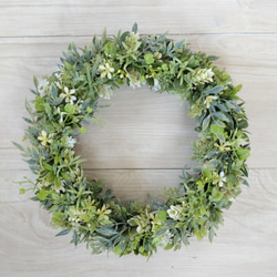 3.スターチスリース スターチスのドライフラワーリース リース lea pua 通販 14239524