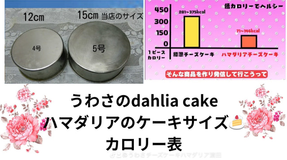 ブルーベリー　dahliaケーキ　　 送料無料 19枚目の画像