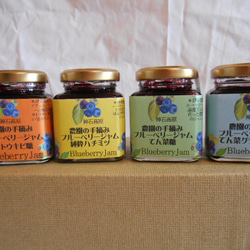 無農薬、無化学肥料、無添加、北部ハイブッシュブルーベリージャム