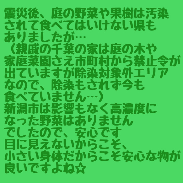 695.犬のおもちゃ犬用、かじり木、あまがみ対策、梨の木、小さめ中型犬向き 5枚目の画像