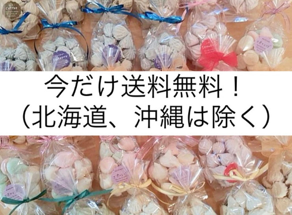  第1張的照片