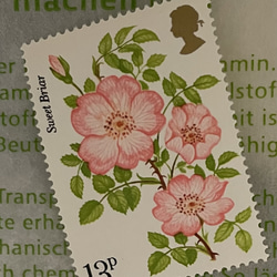 ちいさなartmuseum　Scotland　stamp　 4枚目の画像