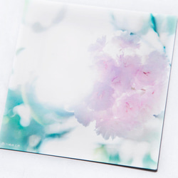 八重桜 3枚セット（野花のしかくいポストカード）サクラ・さくら・写真・正方形・メッセージカード 2枚目の画像