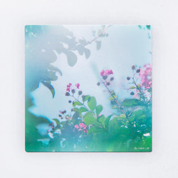 サルスベリ 3枚セット（野花のしかくいポストカード）百日紅・写真・正方形・メッセージカード 1枚目の画像