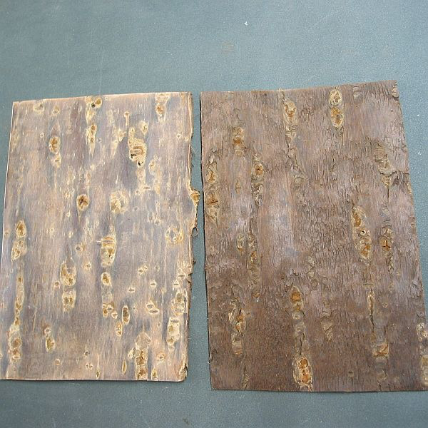 【山桜】樹皮の木製名刺入れは綺麗・・・即日発送