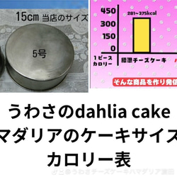 パンプキンdahliaケーキ　　 （カボチャのケーキ） 14枚目の画像