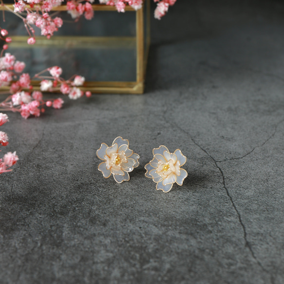 白色的櫻花-日本櫻花- 第2張的照片