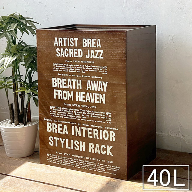 男前 おしゃれ ゴミ箱 ダークブラウン 45L ダストボックス BREA-1599DB