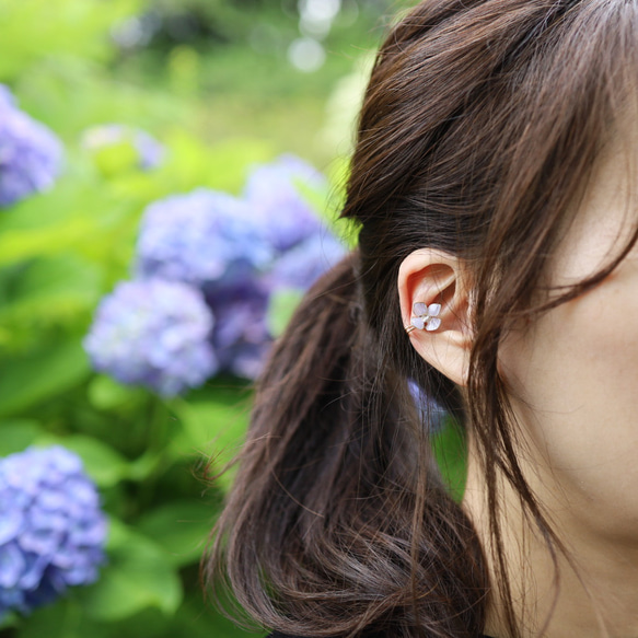 漂亮的彩色繡球花有線耳夾 耳環款式 : Hydrangea Hydrangea 第6張的照片