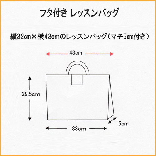 フタ付きレッスンバッグ| 入園入学グッズ 幼稚園 保育園 通園通学準備