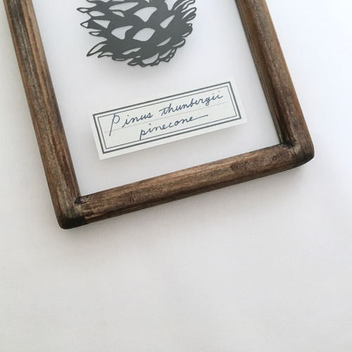 植物標本シリーズ】松ぼっくりの切り絵フレーム タペストリー・壁掛け