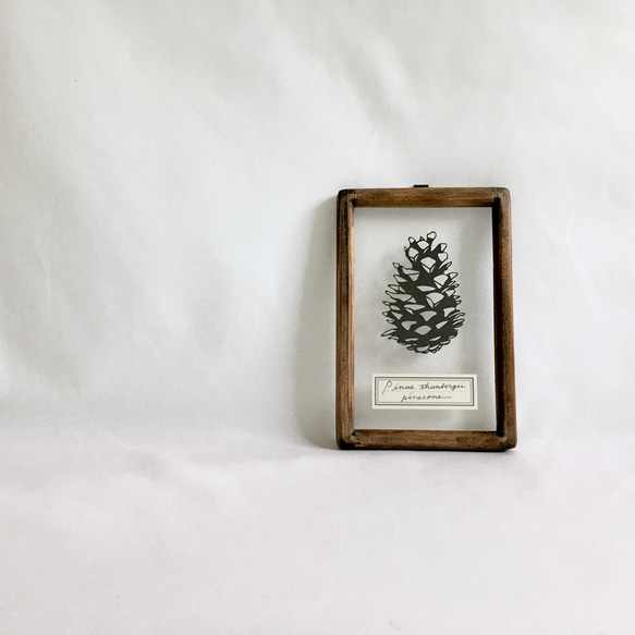 【植物標本シリーズ】松ぼっくりの切り絵フレーム 1枚目の画像