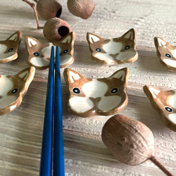 eb72b34978e5bc3b0fbd2637cc1c6d