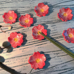 啵亮櫻花朵朵開筷子架(售完再製款)_陶器筷架 第1張的照片