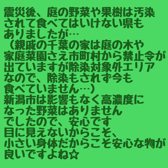 680.犬のおもちゃ犬用、かじり木、あまがみ対策、梨の木、小さめ大型犬向き 6枚目の画像