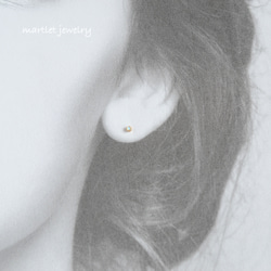 14kgf ロイヤルブルー ムーンストーン(2mm/6本爪)天然石ピアス 6月誕生石 8枚目の画像