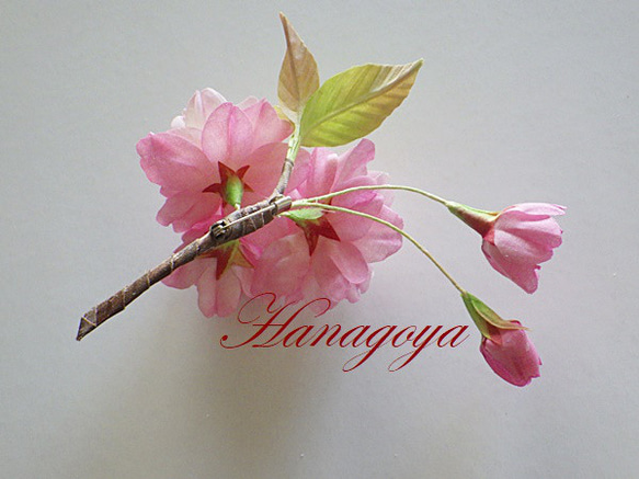 リアル桜！「関山」のコサージュ（八重咲き） 6枚目の画像