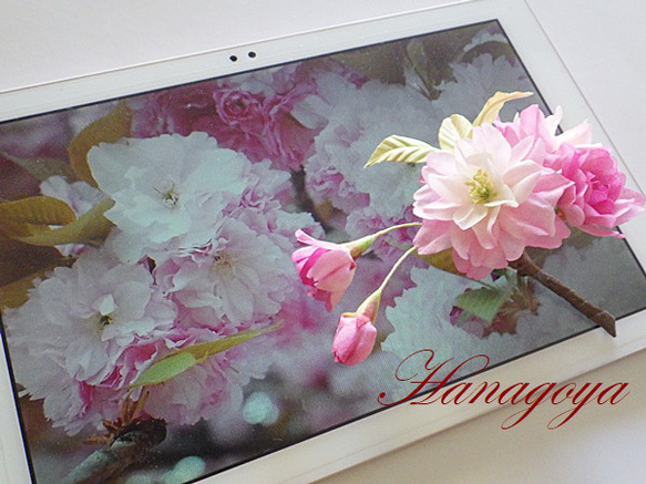 リアル桜！「関山」のコサージュ（八重咲き） 2枚目の画像