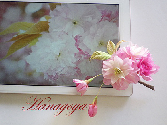 リアル桜！「関山」のコサージュ（八重咲き） 3枚目の画像