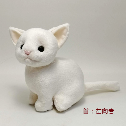 Amazon.co.jp: NYAMY 白ネコ ニーヤ ぬいぐるみ 19cm レア