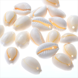 [20 件] 貝殼零件★貝殼杉★貝殼魅力貝殼貝殼珠帶孔 (syel-貝殼杉20) 第3張的照片