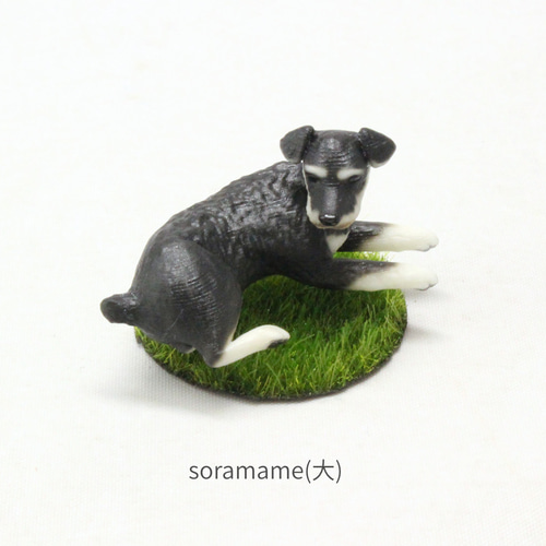 ミニチュアシュナウザー ブラックアンドシルバーのフィギュア