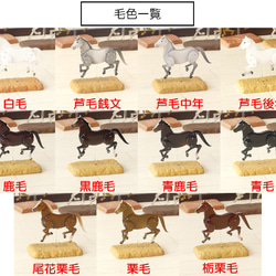 ロボホース　関節可動 毛色版【旧仕様在庫一掃セール】 6枚目の画像