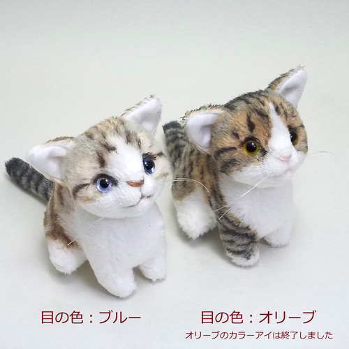 shironeko | ネコぬいぐるみ(身長約23cm) #鎌倉 #坂ノ下 #長谷