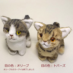 猫ぬいぐるみ「ちびにゃ」オーダーメイド【受注製作】 8枚目の画像