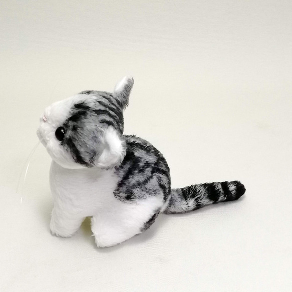 猫ぬいぐるみ「ちびにゃ」オーダーメイド【受注製作】 6枚目の画像